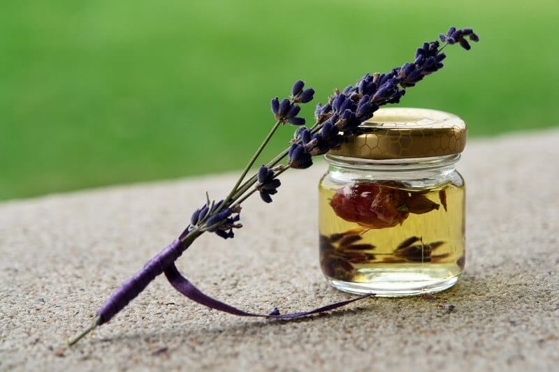 use lavender against roaches for long-term protection
