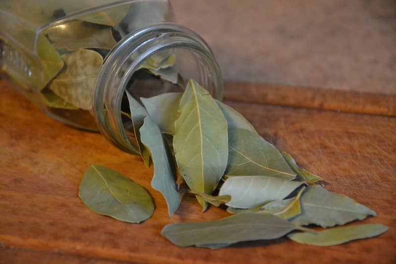 both fresh and dry bay leaves can repel cockroaches