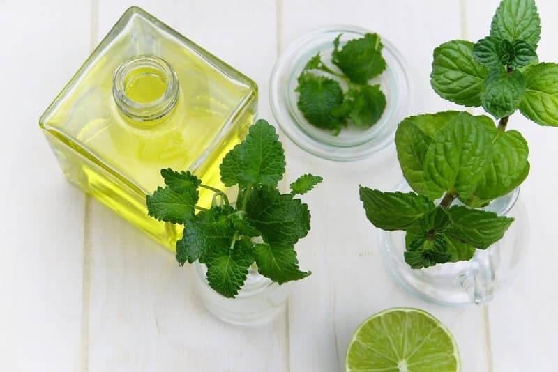 mint oil and peppermint leaves