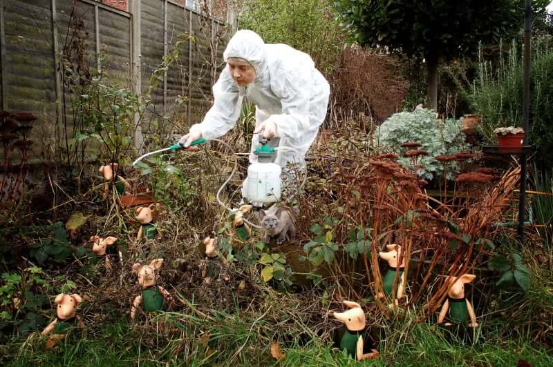 a person doing pest control on the garden