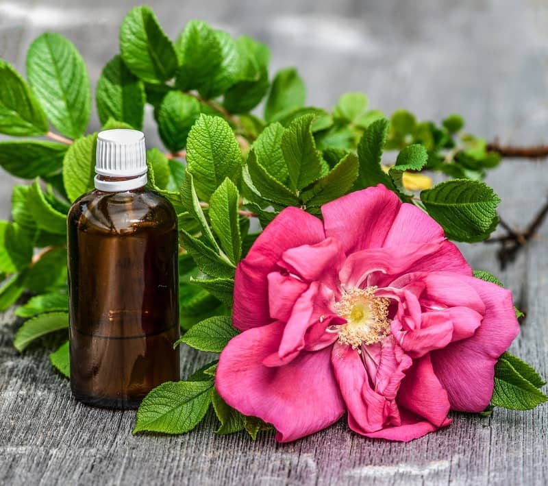 essential oils and mint leaves to naturally repel roaches