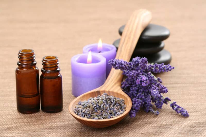 lavender oil repel the roaches