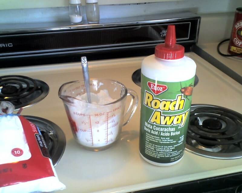 mix boric acid with powdered sugar to kill roaches