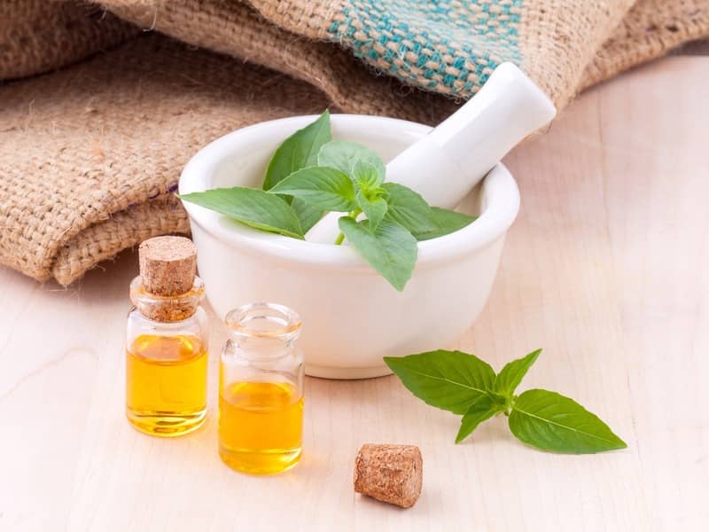 oregano oil is an effective roach repels with a strong scent