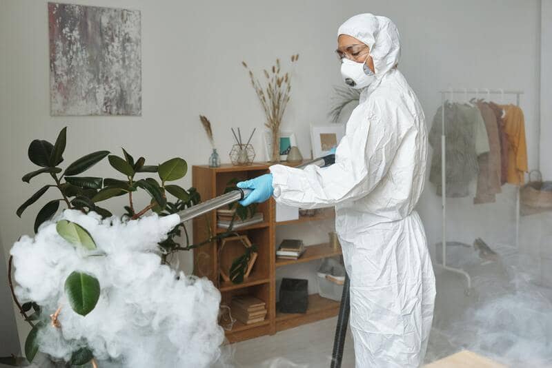 pest control experts need to fumigate the entire house